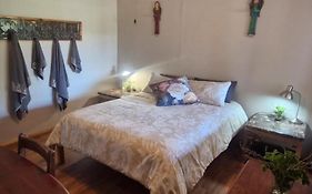 Merwespont Guesthouses#Diehouthuis#Die Wyntenke#A Snoozer'S Cottage#
